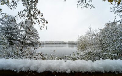 Cooler Days, Different Ways: What Sets Cool Weather Fans Apart from Warm Weather Lovers