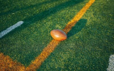 Diverse Dynamics: How Demographics Shape NFL and College Football Fandom in America