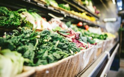 Food Recalls Fuel Strong Concern, but Trust in Brands and Retailers Holds For Now