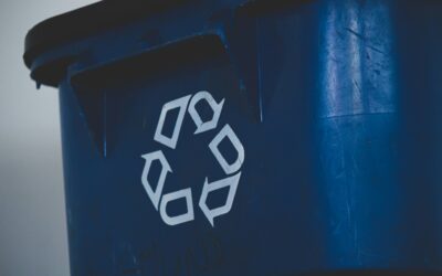 Bin There, Done That: Who’s Driving Recycling Habbits in America?
