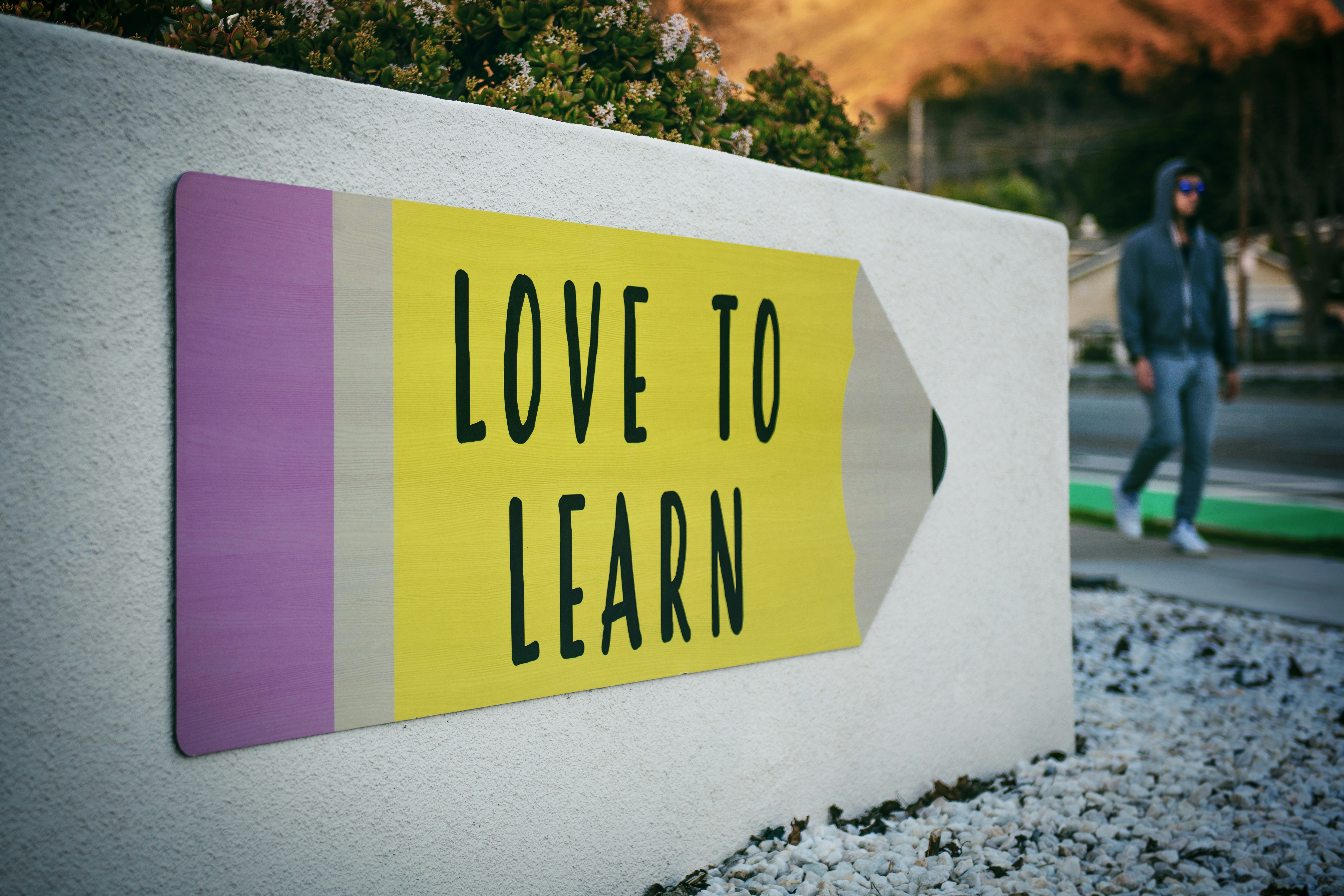 Survey Unveils America’s Learning Divide: Who Loves to Learn and Who Doesn’t?