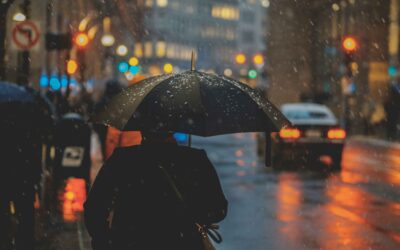 Rainy Days: A Nation Divided on Weather Preferences
